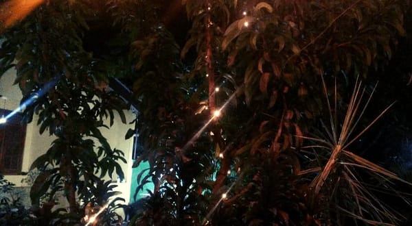 Top Veggie Restaurants in Mirissa, Sri Lanka: photo 2