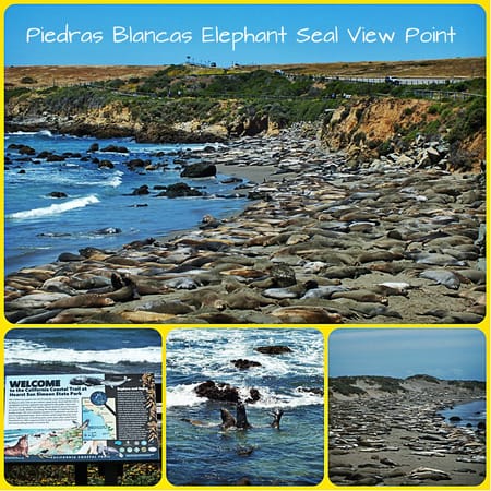 USA: Big Sur, the iconic Roadtrip: photo 15