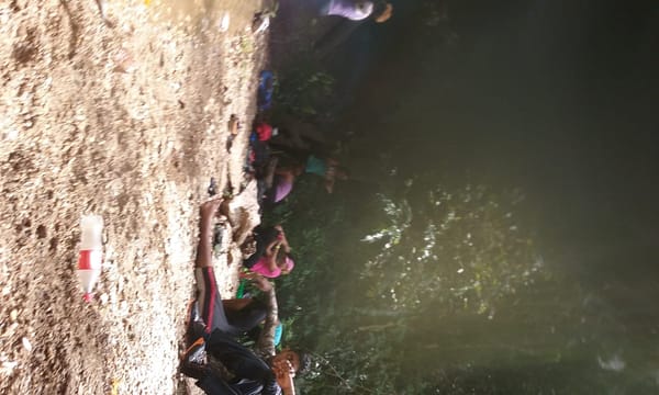 Conquering Paria the Perilous & Turtle Rock: Trinidad and Tobago: photo 37