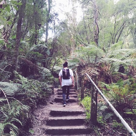 4 Really Cool Free Things To Do In Melbourne, Australia: photo 2