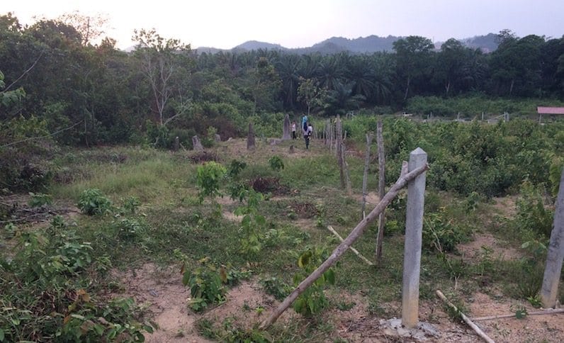 7 Megalith Sites of Melaka: The Hunt into Myth