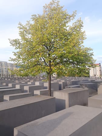 Discover Berlin in a Day: photo 4