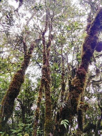 Traversing Mount Purgatory: photo 4