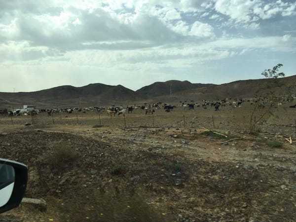 Island Hopper - Fuerteventura: photo 4