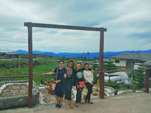 The Mini New Zealand of Malaysia: Desa Cattle Dairy Farm: photo 11