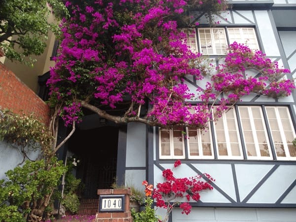 Top 7 Things to Do in San Francisco: photo 5