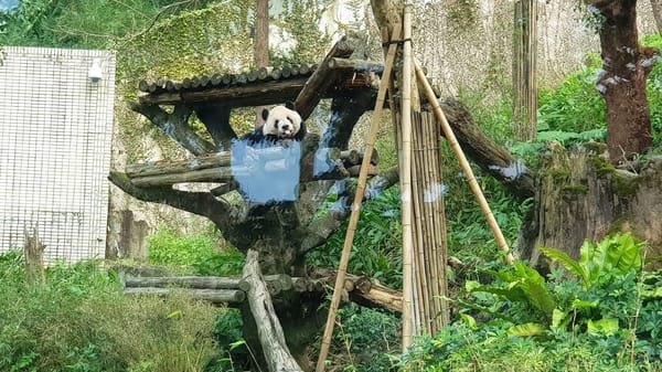 4 Attractions You Should Never Miss When Visiting Taipei: photo 1