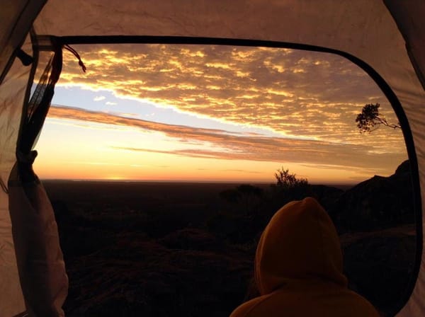 Top things to do on the Sunshine Coast for the Thrill Seeker: photo 15