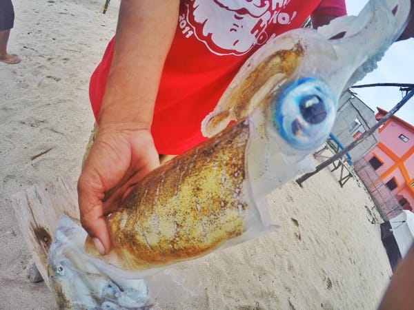 Iloilo: The Beauty of Gigantes Islands: photo 9