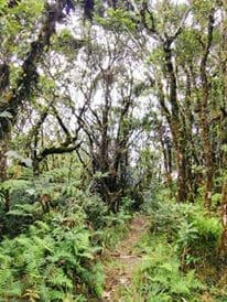 Traversing Mount Purgatory: photo 3
