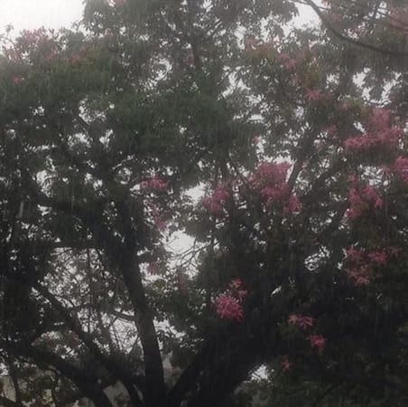 A weekend in Belo Horizonte: photo 5