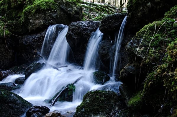 The Perfect Date With Nature; The Oloolua Nature Trail: photo 4