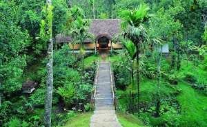 Goa: Short getaway with family: photo 2