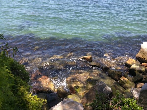 Top 5 things to do in Mosman, Sydney: photo 1