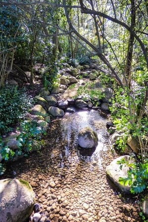 Top 5 parks and gardens in Lisbon: photo 6