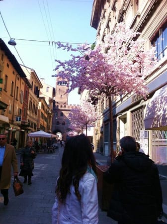 Bologna, Italy: That medieval air: photo 2