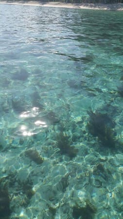 Mauritius: Somewhere In the Very Middle of the Ocean: photo 3
