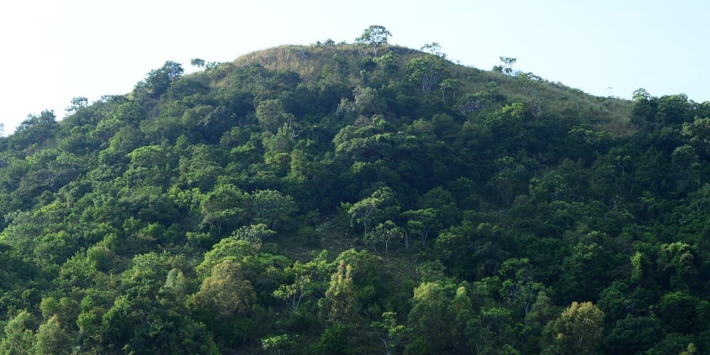 Hiking Napoleon’s Hat Island