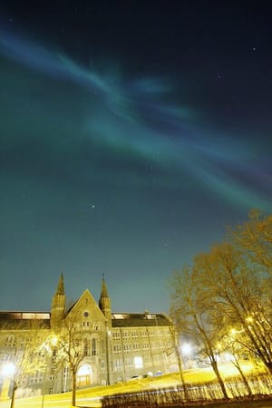 Trondheim, Norway: Northern lights and dog-sledding: photo 10