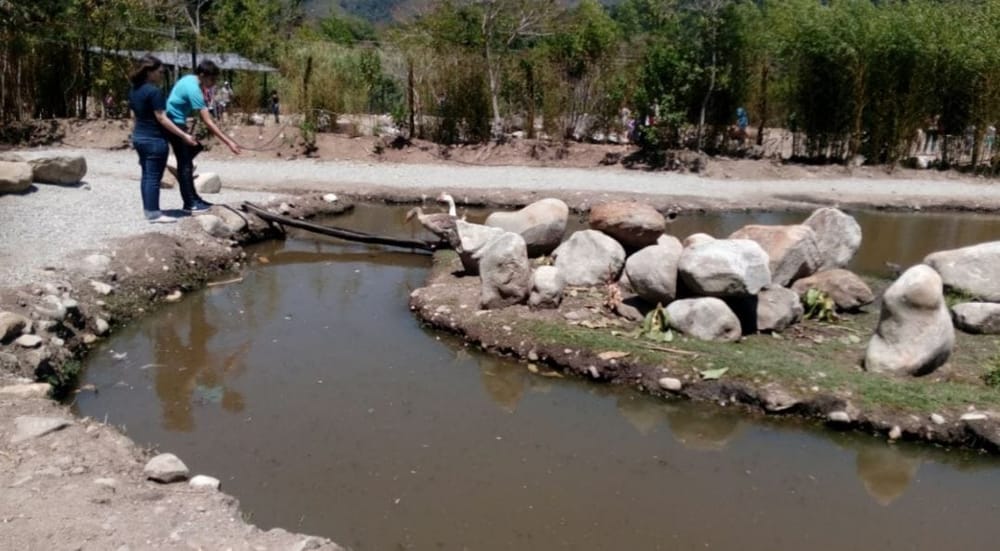 Top 4 Family-friendly Places in Mérida Venezuela