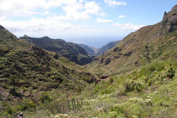Sunny Side Up: An Insider's Guide to La Gomera's South: photo 7