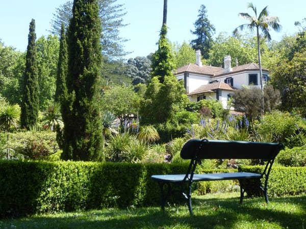 Madeira Island: 3 Things You Must See And Do When In Madeira: photo 1