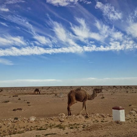 Morocco and Western Sahara: photo 8