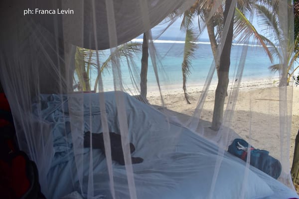 7 reasons why you should travel to Samoa: photo 2