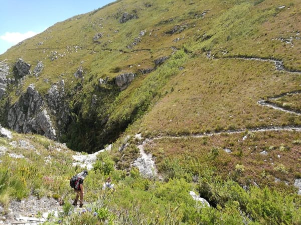 Stellenbosch, South Africa: What to do, where to eat and more: photo 4
