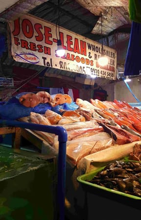 Experience Manila in a Layover!: photo 3