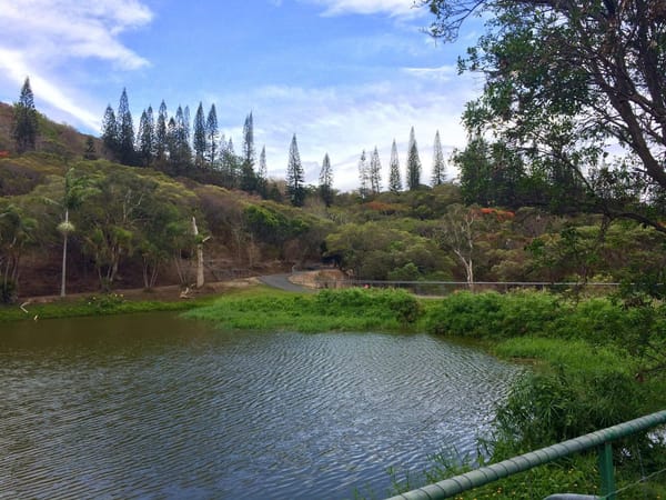 Port of call Noumea: Tourist traps and gems: photo 4