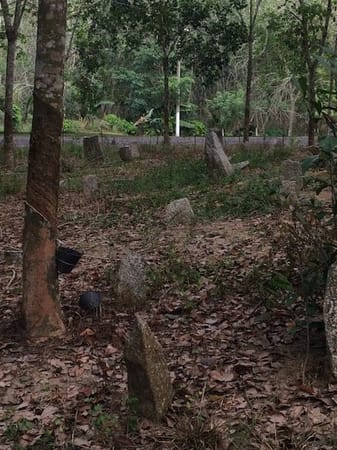 7 Megalith Sites of Melaka: The Hunt into Myth: photo 1