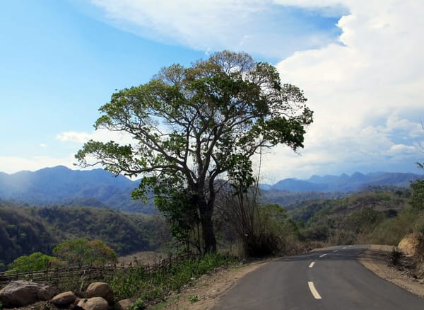 Sumbawa Off Roads: photo 1
