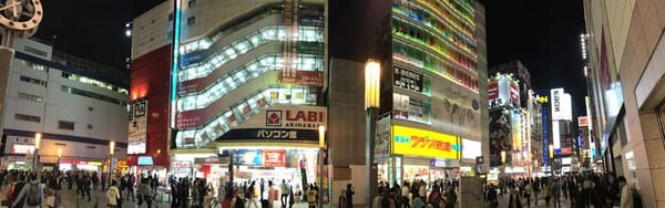 JAPAN: 10 DAYS IN TOKYO: photo 10