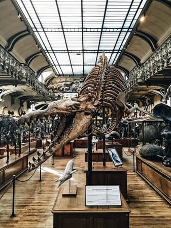 Middlesbrough England Travel Guide: photo 3