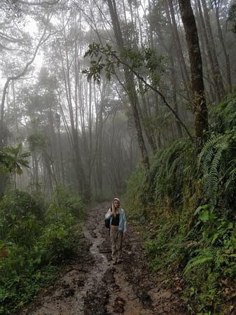 Filandia: Hidden Gem of Colombia: photo 3