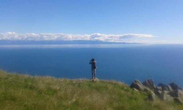 What To Do in Nelson City, New Zealand: photo 6