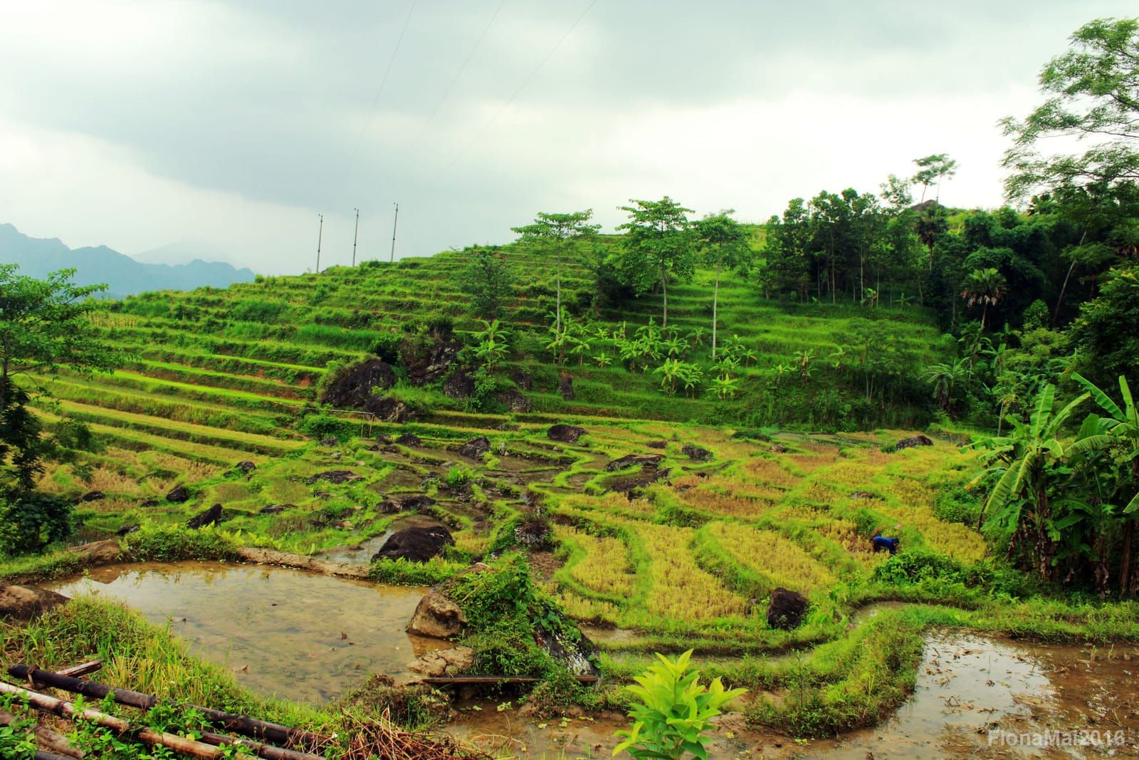Pu Luong Retreat – A true off-the-beaten-path experience in Vietnam