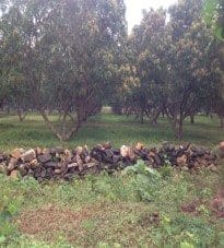 A getaway guide to Gir: photo 3