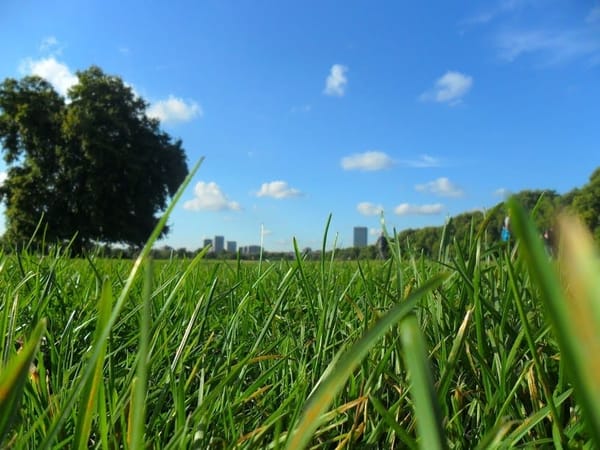 Exploring London and its 5 cozy places (I am in love with): photo 2