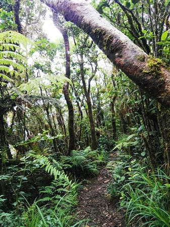Traversing Mount Purgatory: photo 5