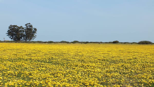 Teleport to Porterville: photo 8