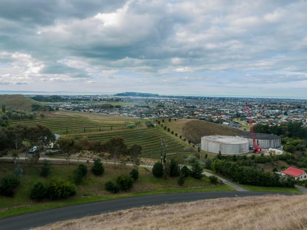 A Guide to Napier, New Zealand: photo 4