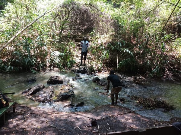 The Perfect Date With Nature; The Oloolua Nature Trail: photo 7
