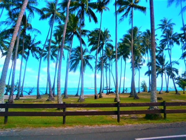 Magnificent Moorea – the heart of French Polynesia: photo 7