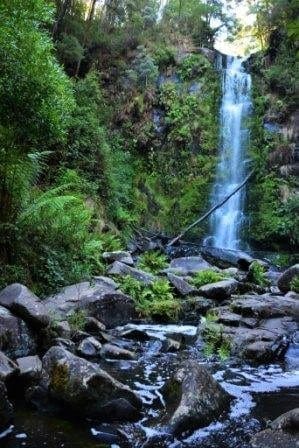 Camping the Great Ocean Road: photo 4