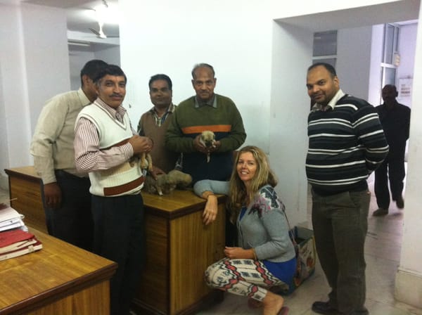 Its not all about the yoga in Rishikesh: photo 6