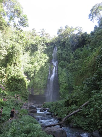Sekumpul - Bali´s hidden Waterfall: photo 13