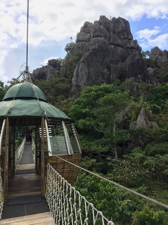 A Thrilling Treetop Adventure in Masungi Georeserve: photo 14