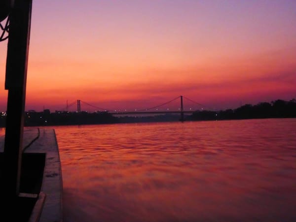 A Week In The Amazon Jungle: photo 7